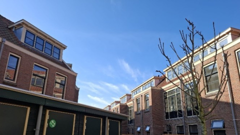 dakkapel renovatie in Rotterdam door Ruiter Dakkapellen