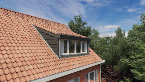 Dakkapel model slepend dak.