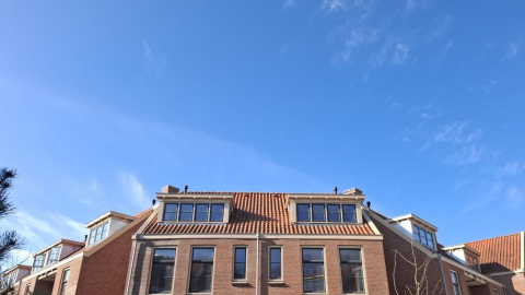 dakkapellen Patrimonium’s hof in Rotterdam